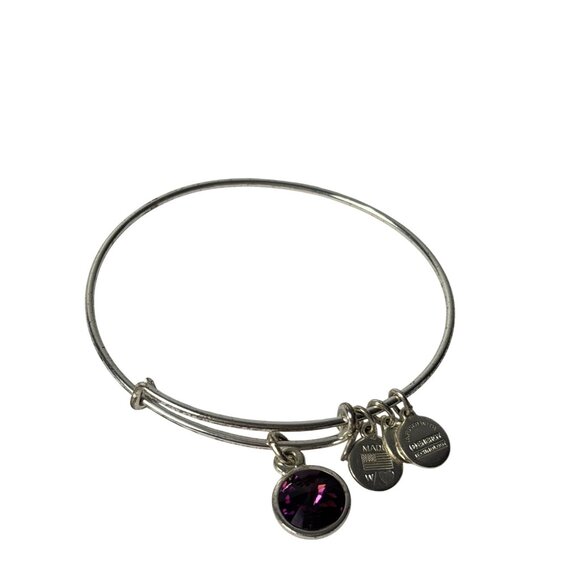 Alex and Ani Charm Bangle Bracelet Purple Rhinestone Silvertone - Picture 1 of 4